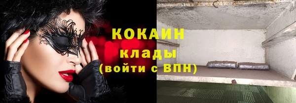 прущие грибы Аркадак