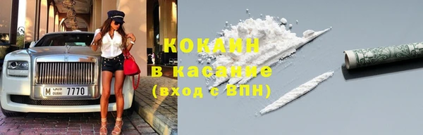 прущие грибы Аркадак