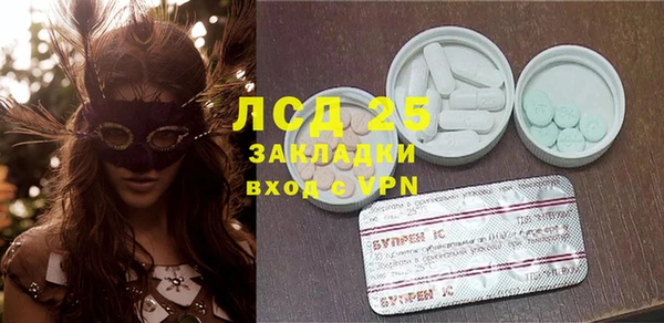прущие грибы Аркадак