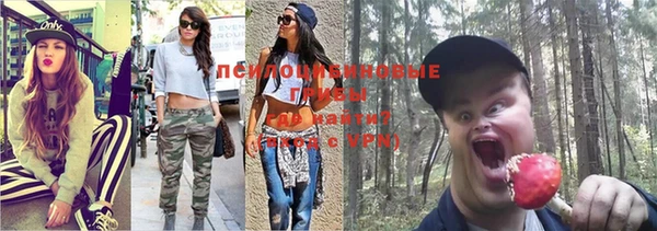 прущие грибы Аркадак