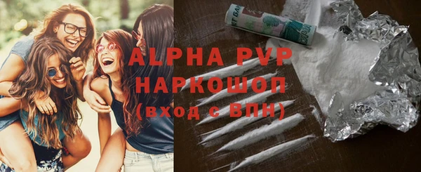 прущие грибы Аркадак