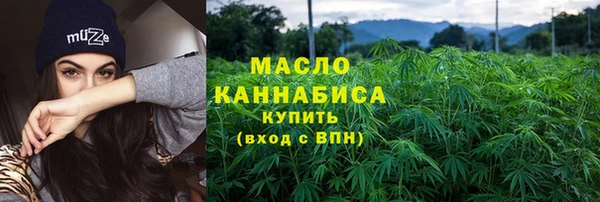 стаф Ельня