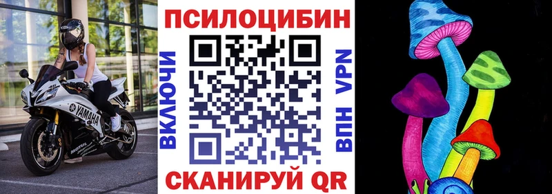 дарк нет формула  KRAKEN ТОР  Муравленко  Галлюциногенные грибы мицелий 